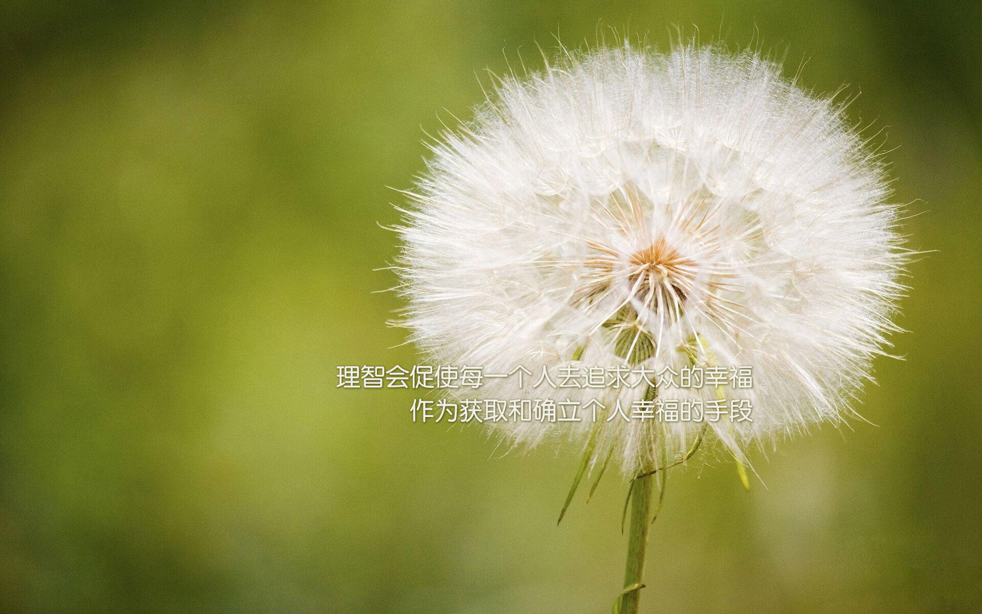 九游APP官网-_全球最高奖金额比赛：奖金与荣誉双丰收_，世界最高奖金